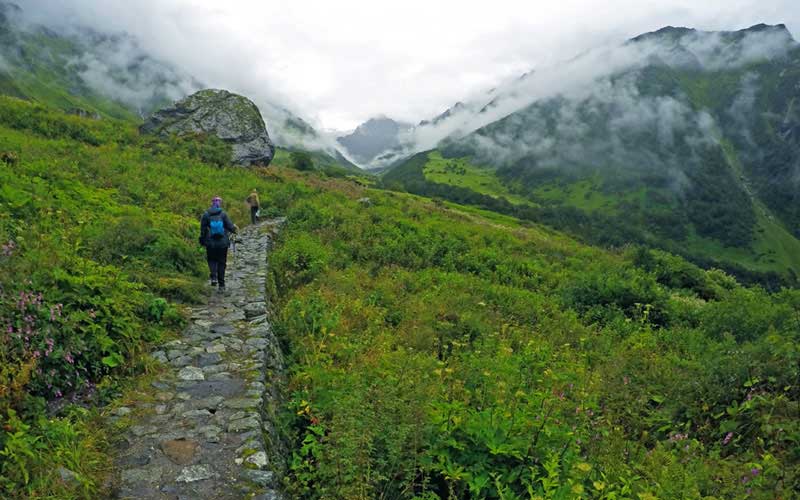 Valley of Flowers with Hemkund Sahib