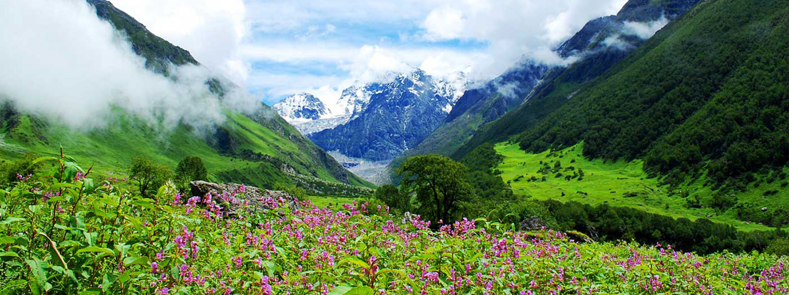 Valley of Flowers