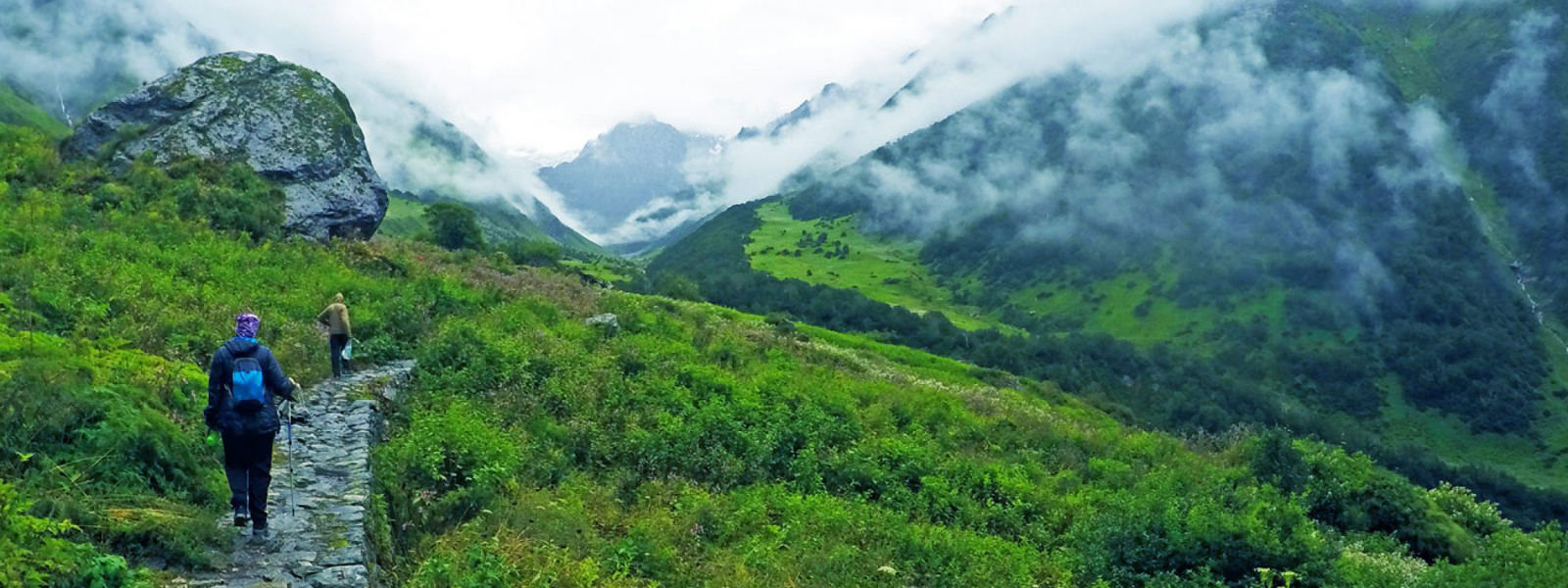 Valley of Flowers